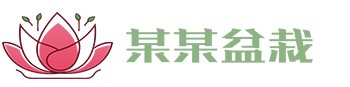爱游戏(ayx)(官方)网站/网页版登录入口/IOS/安卓通用版/手机版app